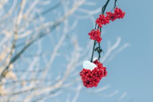 Read more about the article 클러스터용인경남아너스빌모델하우스, 꼭 봐야 할 이유